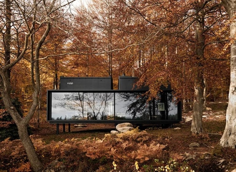 Taking the World by Storm 5