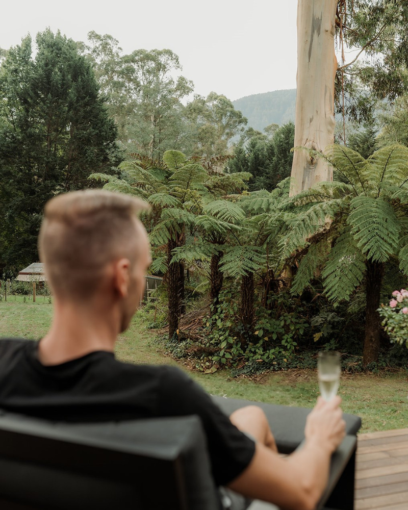 Warburton Project View