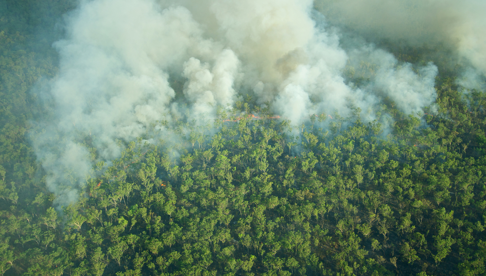 Here’s What You Need to Know Before Buying in a Bushfire-Prone Area